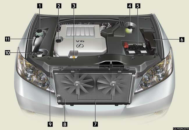 1. Power steering fluid reservoir.