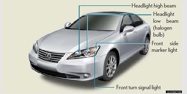 Rear bulb locations