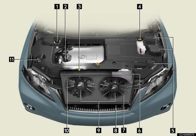 1. Brake fluid reservoir.